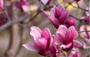 ���m���_����һ������֮�s