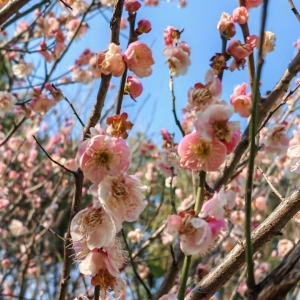 ����Ҫ�����ĵęC�����򿨴�÷��