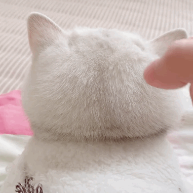 �o���g��һ��Ԓ��׌�Ұl�F����ԭ�������pŮ���治����