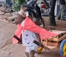 Ҫ�Y����һ������ǧ�����᣿���X��ꎹ��Y�����M��