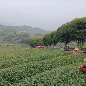 ����һ���δ򿨣������²��Ļ���