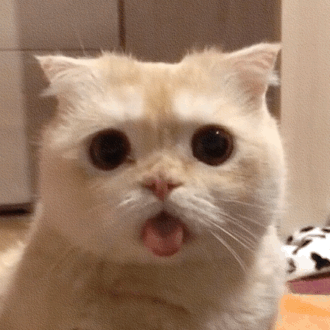 �����oŮ���I�v20���f��܇������Л]�к��m�����]