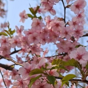 �򿨟o�a�x�^侣������P�P�ęѻ�����������