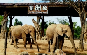 �L��������ꖹ����ĵ����磡���lȥ�Ϻ�����@