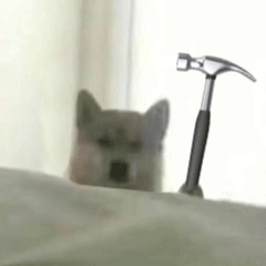 �F���X���ٍ����Ĺ���־�ȻҪһ�ɰ٣��@ô�F