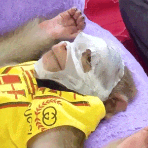 ��ܽ�ش���z���^ǰ���x܇��˾�C�������h�ゃ�ŗ��_܇