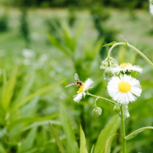 ����͑�(y��ng)ԓ������@�ӣ�ꖹ����ġ� �B�Z���㣡