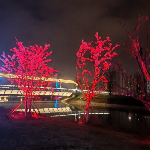 �����ĵĽ���\�ӹ��@ҹ�������Ě�ϢԽ��Խ���ˣ�