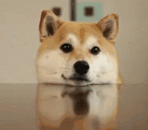 �Ҳ������a(ch��n)܇����100�K1��@���r����M�ڵ�߀�F���l�I