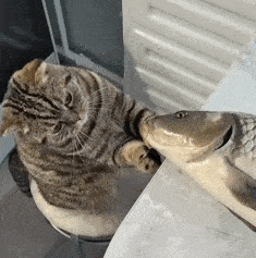 ���������������˲��٣�����x����u������߀���p���c��