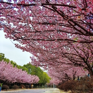 ��ꎙѻ�����S�ģ��������L(f��ng)ů���MĿ�ѻ��w