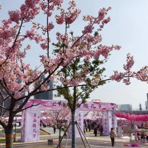 �򿨽�ꎙѻ���(ji��)����׌�����B����