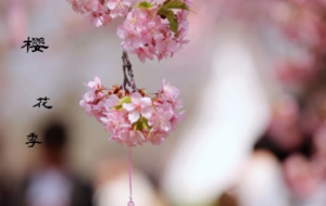 ���x�^侣��ѻ��tİ�ϣ����~�G��߅