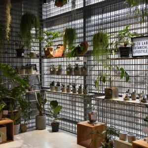 ����ȥ�^�A�����B(t��i)�@�ᣬ����ò����棿