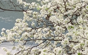 �ɢ���l(f��)�F(xi��n)�����е����ã����Ͽ��ͽ����x��߀��������ͬ