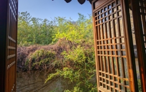 һƬ�����P��ס�����л����봰��