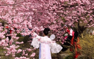 �M�۵ķ��죡�߳��Tȥ���������ѻ���