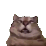 ��Ȼ�����ˣ��������RͰ�����һ�