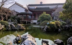 ��լ�y�䣺��ɫ�u���Ϸ��������[�[�Ę�ľ�������