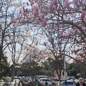 ������ɽ�S���ģ��c�Lͬ�l����ȥҊ��