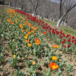 ���Ձ��ţ��҂��C�����Լ�һƬ�����㣡