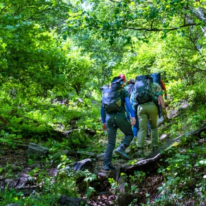 ������������ɽ������ĩ�����@������(ji��)����ɽ