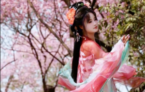 ����zӰ�������ѻ������h��С���������h�h���O��