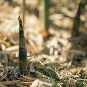 �����������ڹS������ĩ�����w�ĵط�