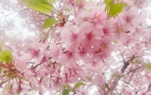 �򿨙ѻ������m�����`�ŝ�ⴺ�⣡������