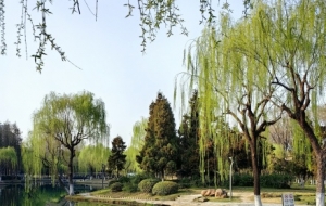 ���Ͽ������������¾G ��ɫ����