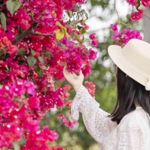 �L��ѩ�½K�����^�������}�����˵��뷨���@�ӵĆ�...