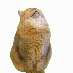 �벻ͨ���������Ϻ�����ǣ����ù�����ʳ�o�n�ģ���ô���������Y