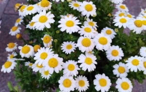 һ�����R·ѽ�����p��;���L��