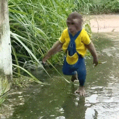 �ȁ����ǂ�(g��)����Ć�λ���Tʿֱ�ӱȱ��Ƹ�3��(g��)�ȼ�(j��)����������