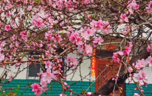 �W(w��ng)���S�ģ�����������ڼ��T�ڣ�