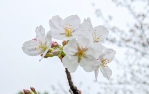 ��ؓ(f��)���պÕr(sh��)�⣡�p������(d��ng)�r(sh��)