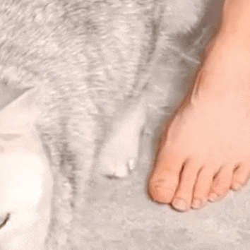 �����y�ң����˿�Ҋ���ڼҾ�Ҫ��̎ȥ�f�㲻�ϸɻȥ�����ֆ��ֹܵ�