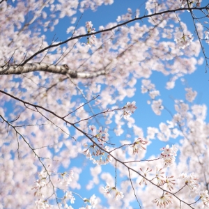 ����������ΩԸ�����t�����K�Еr��