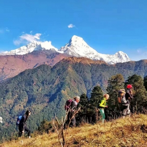 ͬ���f����ɽֻ��6��犣��Sɽֻ��90��������V����