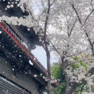 ���˰��ؿ�һ���ѻ����������һ�������Ҹ�����