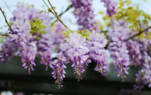 ����@������ٻ����_���ˣ�