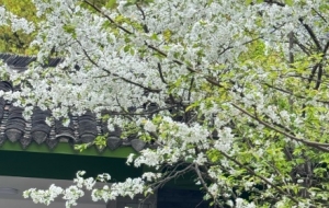 �S�ģ����㴵�^���L���������^��·