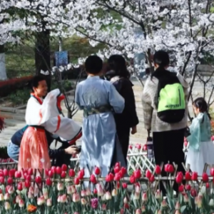 �zӰ����һ�ش�ɫ���S������������