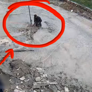 �������һ����������......