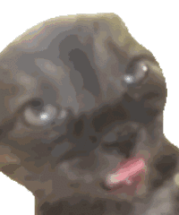 ��Ͱѷ���o�������ˣ����귿��߀�]�o���@�N��r�ܲ��ܰ���Щ��������