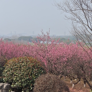 �S�ģ�ꖹ�N��������Ȼ����õ�������