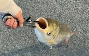 �˲˰a���ֻ�~������С�r���@�ӵĘ�Ȥ�����Դ���С��߅һ����