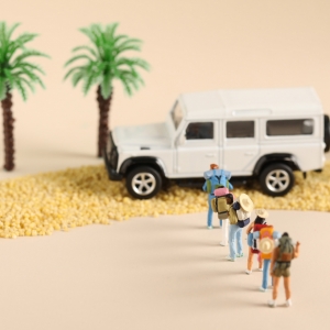 ͶƱ������X����һ�L�ٵ��{�ݺ���᣿�f�f��Ŀ���