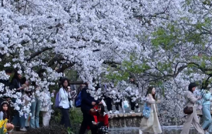 �x�^侔zӰ���ѻ����᷺�E���������g�^ɫ