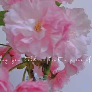 �����������N�������g������